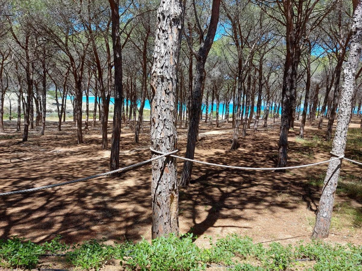 Gallura Dream Villas Budoni Εξωτερικό φωτογραφία
